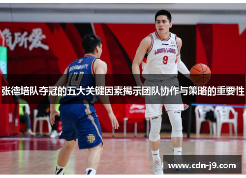张德培队夺冠的五大关键因素揭示团队协作与策略的重要性 张德培队夺冠的五大关键因素揭示团队协作与策略的重要性