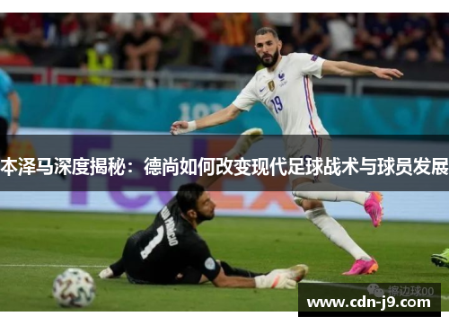 本泽马深度揭秘：德尚如何改变现代足球战术与球员发展
