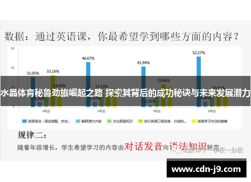 水晶体育秘鲁劲旅崛起之路 探索其背后的成功秘诀与未来发展潜力