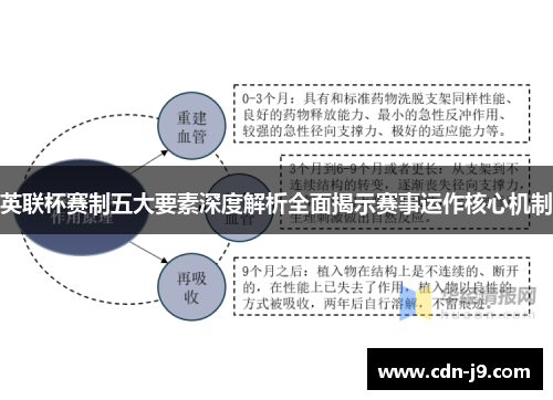 英联杯赛制五大要素深度解析全面揭示赛事运作核心机制
