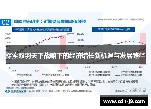 探索双羽天下战略下的经济增长新机遇与发展路径